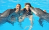 Picture of DOLPHIN SHOW