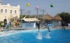 Picture of DOLPHIN SHOW