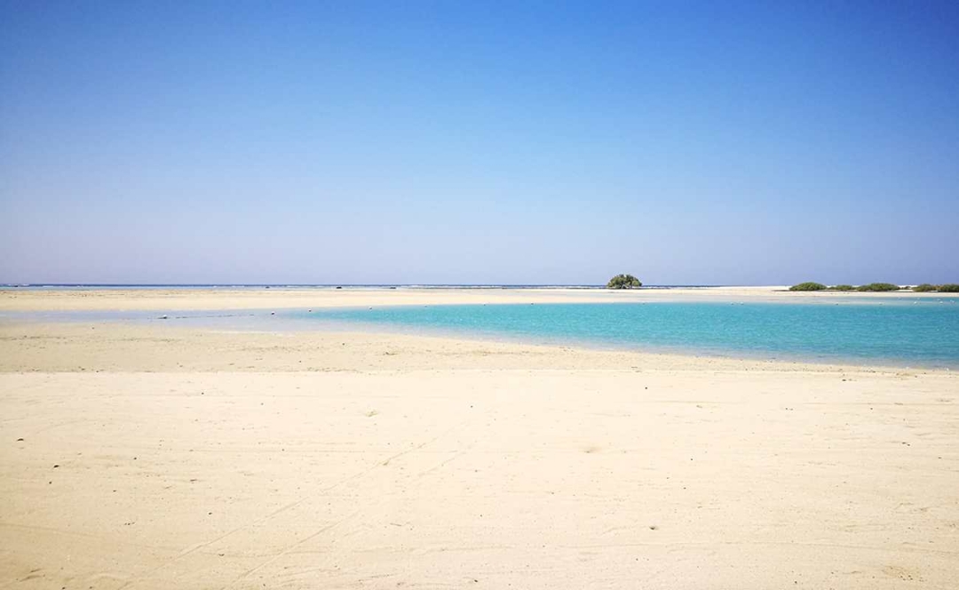 Picture of EXCURSION TO NEVERLAND