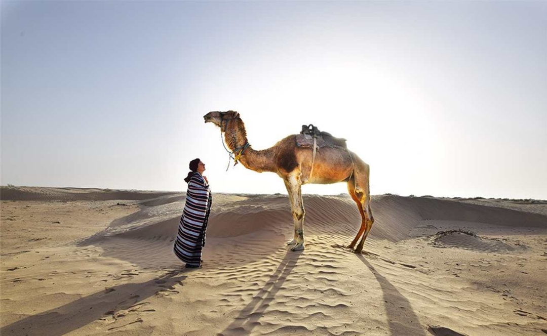 Picture of CENA BEDUINA CON QUAD E CAMMELLATA NEL DESERTO