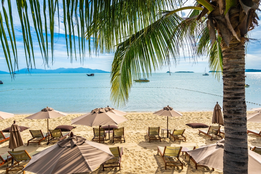 Picture of EXCURSION PACKAGE 2 Free phone card